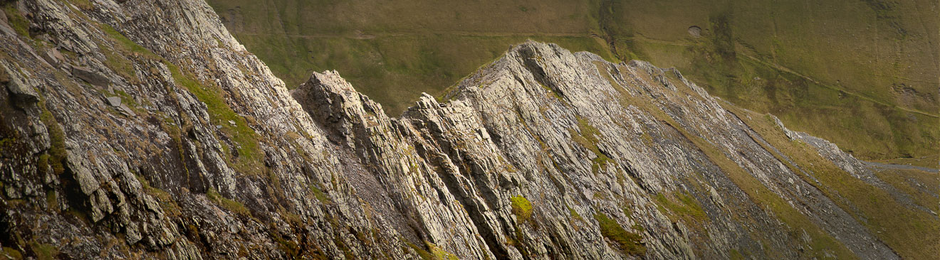 Sharp Edge